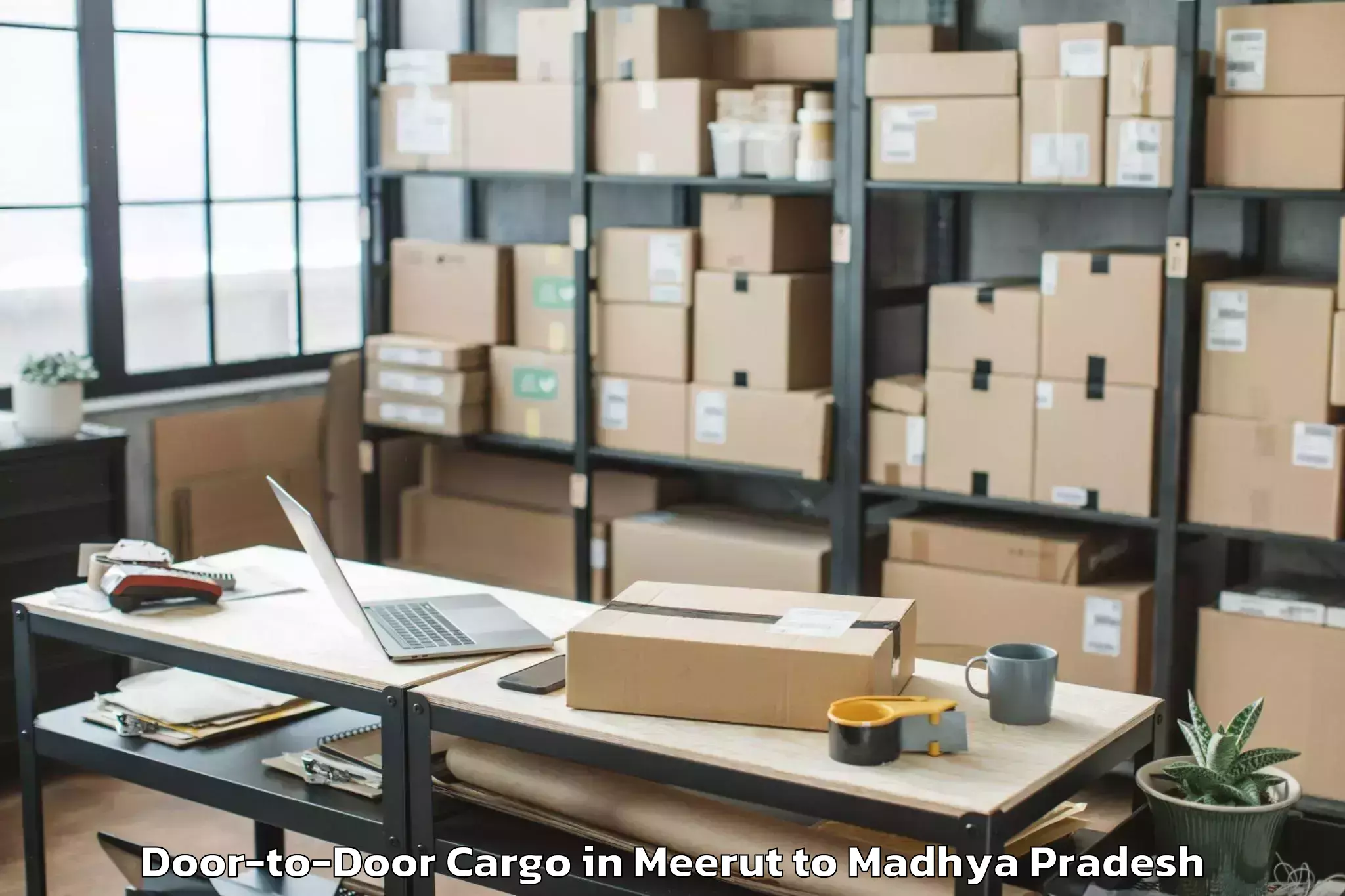 Book Meerut to Bhel Bhopal Door To Door Cargo